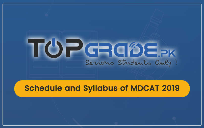 Schedule and Syllabus 2019